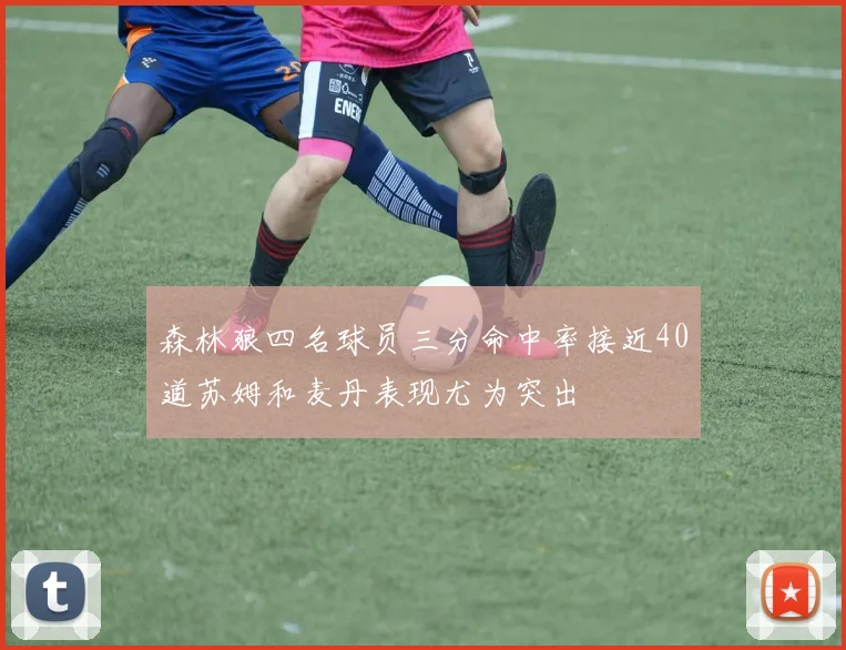 森林狼四名球员三分命中率接近40道苏姆和麦丹表现尤为突出
