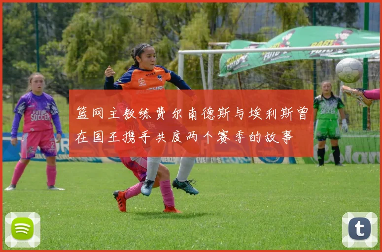 篮网主教练费尔南德斯与埃利斯曾在国王携手共度两个赛季的故事
