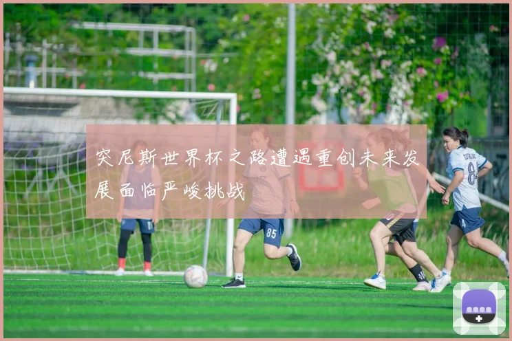 突尼斯世界杯之路遭遇重创未来发展面临严峻挑战