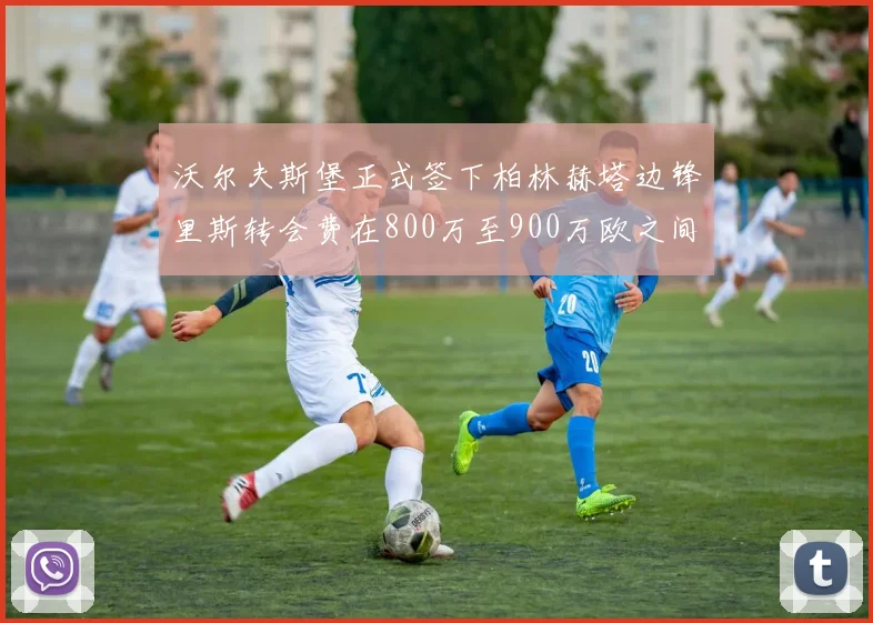 沃尔夫斯堡正式签下柏林赫塔边锋里斯转会费在800万至900万欧之间