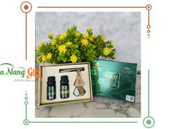 Combo tinh dầu thảo dược hộp quà cao cấp - Natural Essential Oils