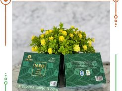 Combo tinh dầu thư giãn hộp quà cao cấp NEO – Natural Essential Oils - DaNangGift